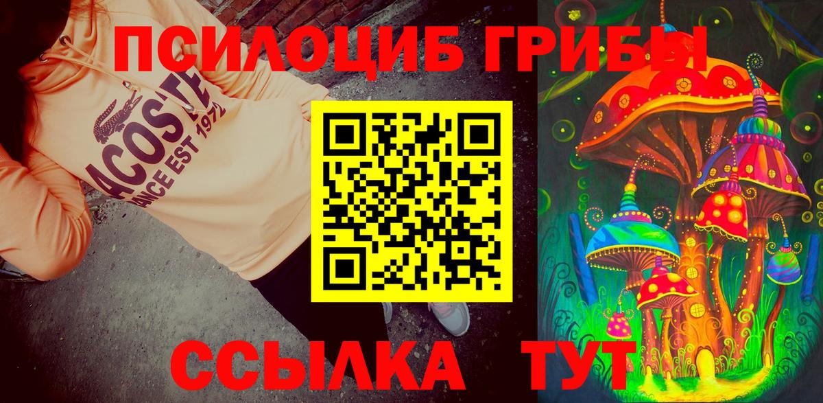 Псилоцибиновые грибы Psilocybine cubensis  Вход с VPN  Гусиноозёрск  Галлюциногенные грибы прущие грибы 
