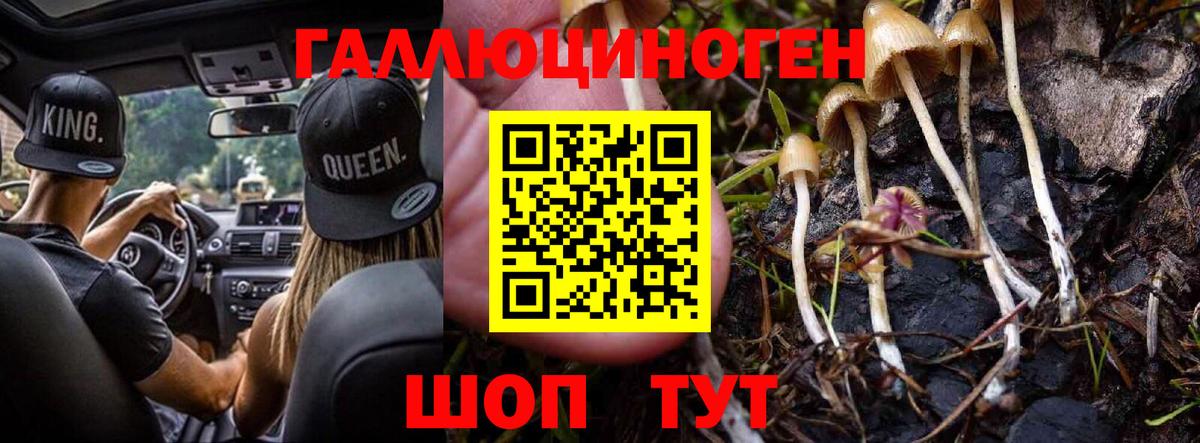 Псилоцибиновые грибы GOLDEN TEACHER Гусиноозёрск